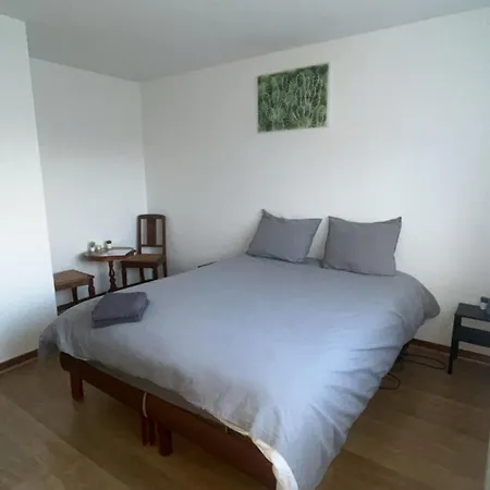 Les De Marie ホームステイ